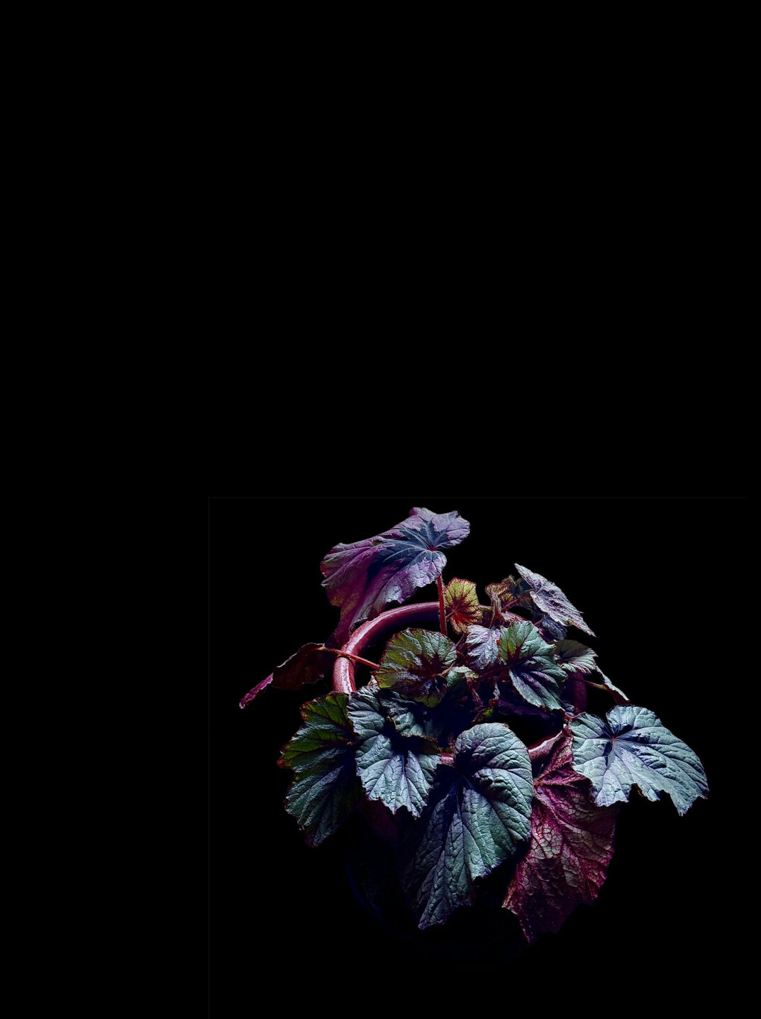 book cover mystery