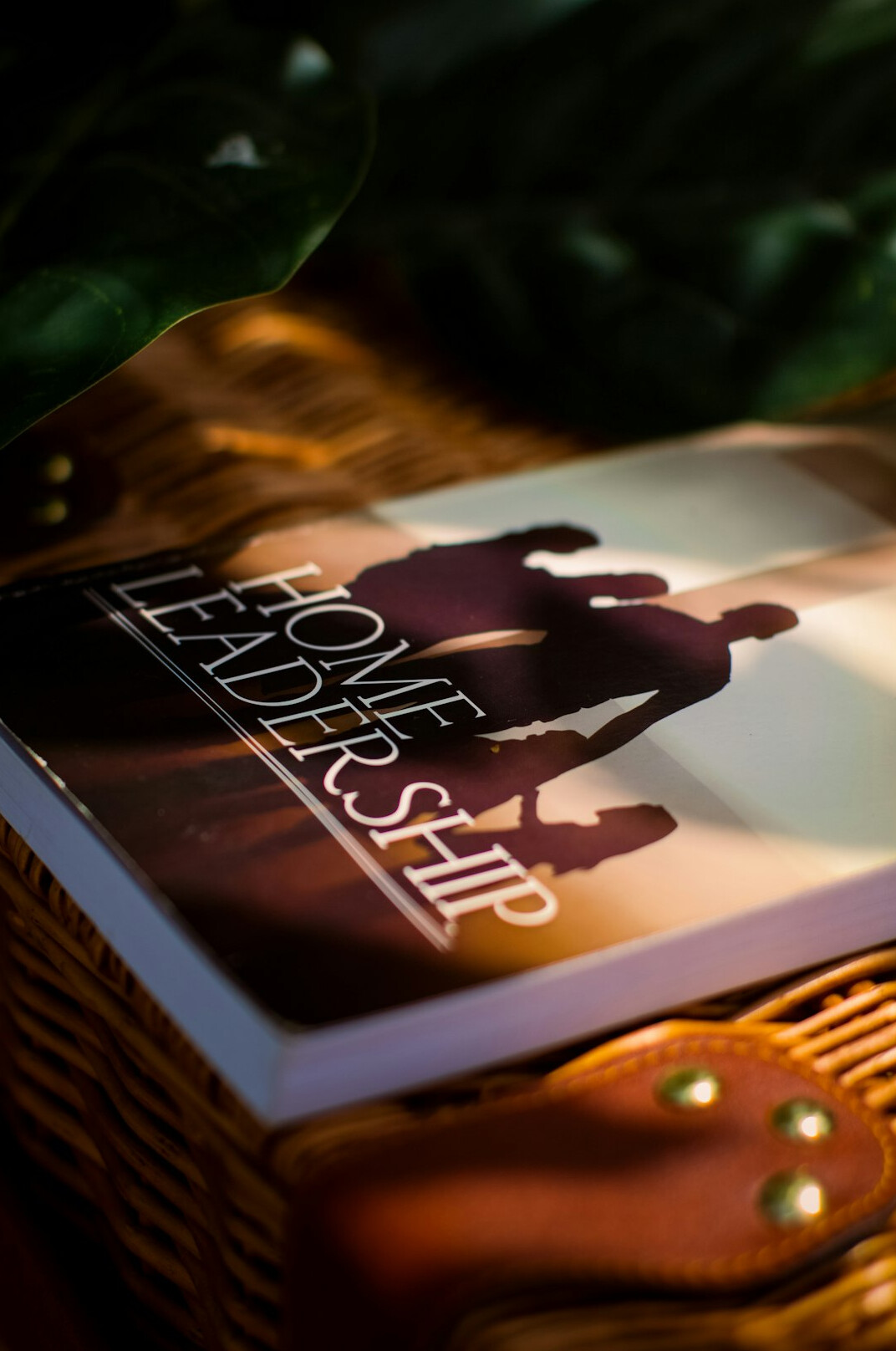 suspenseful book cover